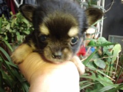 また 始まった(>_<)