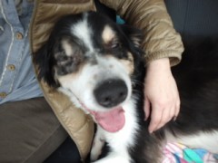 これは夢か幻か？