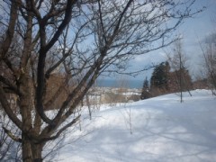 天気いいよ(*^o^*)