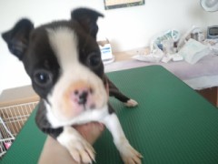 今日はお休みにしました