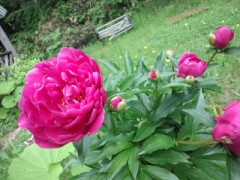 皆さんお世話になりました！