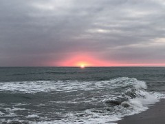 【お題日記】今年の冬に挑戦したいお鍋は？