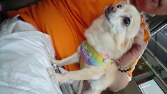 初めましてm(*_ _)m