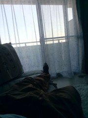 ついた。地元岡山