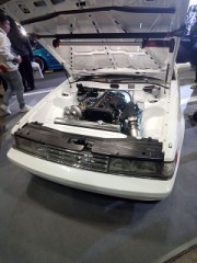 ちょうど１ヶ月後に