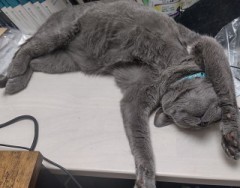 【お題日記】ストレス発散方法って何してる？