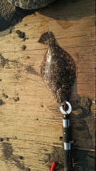 一ヶ月ぶりの釣り紀行