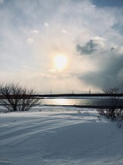 【お題日記】思い出のマンガ