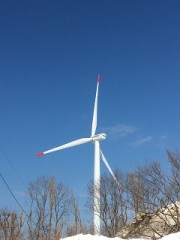 【お題日記】新聞取ってる？