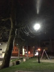 寂しく感じる時