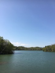 そろそろ夏かなー(￣∀￣)