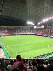 抜かったわー(;´д｀)