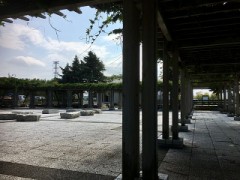 気分転換（＾ω＾）