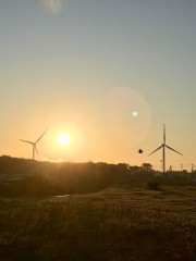 なんだかなー（－＿－；）