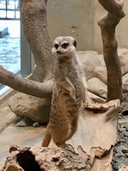 楽しかったのですが…