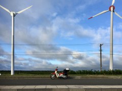 今年も来ました！