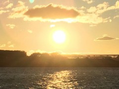 今月は頑張ります！