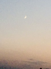 あーイヤイヤ…