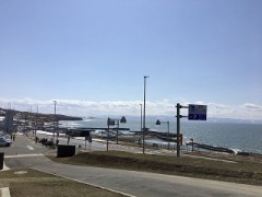 春らしくなって来た！