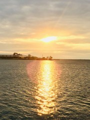 疲れてます(;´д｀)