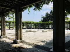 やってしまった(-｡-;