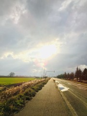 【お題日記】2022年はどんな年だった？