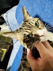 ホム助の土曜日