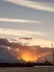 暑かった(;´д｀)