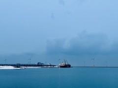 今年ももう少し