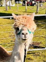 楽しんだよー^ ^