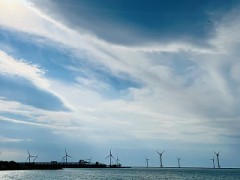 なんだろねー(-｡-;