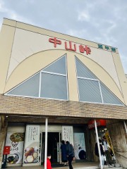 帰って来ました