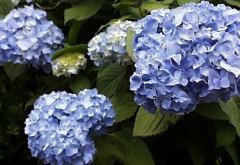 あっと言う間に６月だぁ～