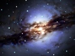 誰だって　寂しいのよ。