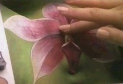 その肌に触れたい・・