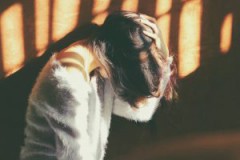 仕事先（職場）での出会い方を教えます。（男女必見）