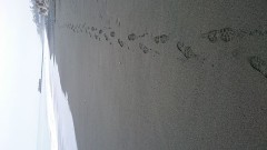 【お題日記】最近自然に触れましたか？