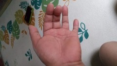 【お題日記】ウラ的お気に入りの写真見せて