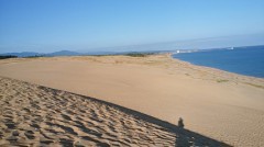 【お題日記】効果があった暑さ対策