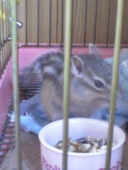 ☆さゆのひとりごと☆その2<編集済み>