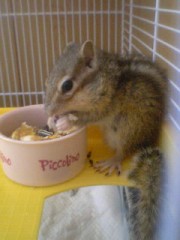 ☆さゆのひとりごと☆その３