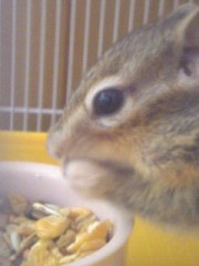 ☆さゆのひとりごと☆その５−ヒマ編−