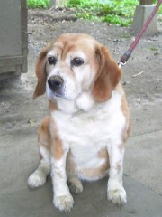 ☆さゆのひとりごと☆その１２−超怖いんですけど・・