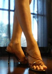 ☆猫派？　それとも　犬派？☆