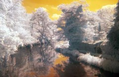 ☆中華を満喫☆