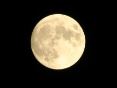 満月の影響～☆彡