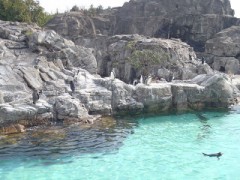 【お題日記】「自分専用の部屋」はありますか？