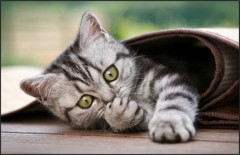 【お題日記】外でSEXしたことある？