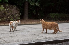 【お題日記】友達だった人に恋しちゃう瞬間は？