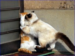 【お題日記】人には言えない場所でエッチしたことある？